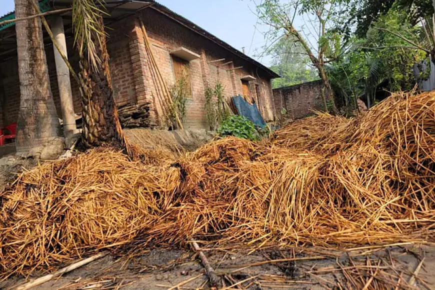 বাগমারায় সকালে পুড়িয়ে মারার হুমকি দিয়ে রাতে ঘরের পাশে আগুন