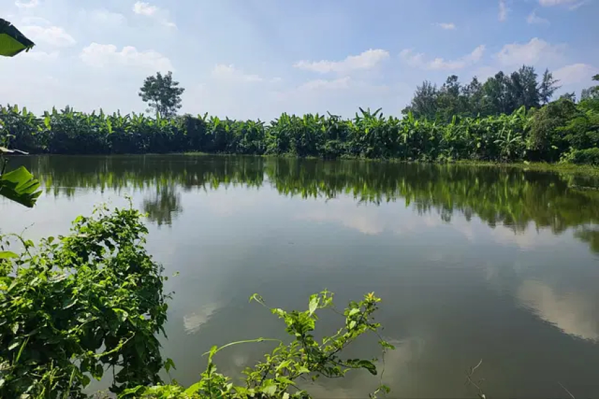 সরকারি পুকুরের পানি টাকা দিয়ে কিনতে হয় কৃষককে