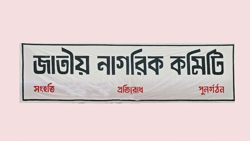 ডিসেম্বরেই দেশের সব থানায় কমিটি দেবে জাতীয় নাগরিক কমিটি