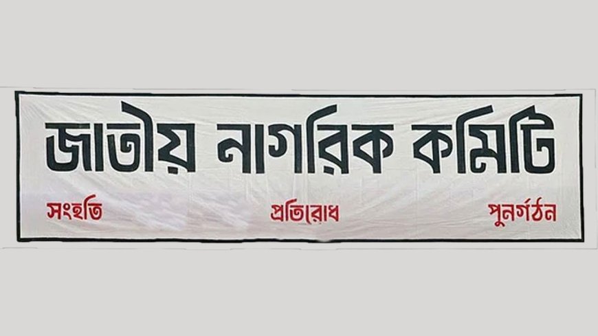 নাগরিক কমিটিতে সারজিসসহ নতুন ৪৫ সদস্যের যুক্তি