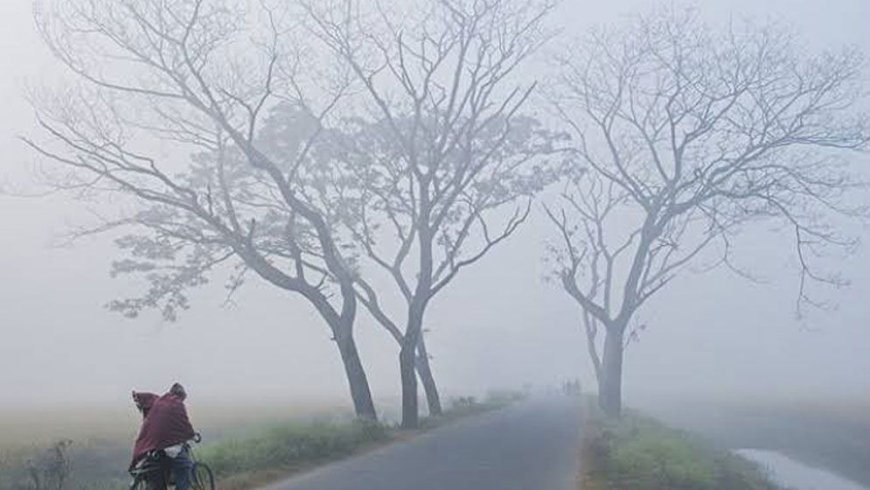 শীতে কাঁপছে রাজশাহী শহর