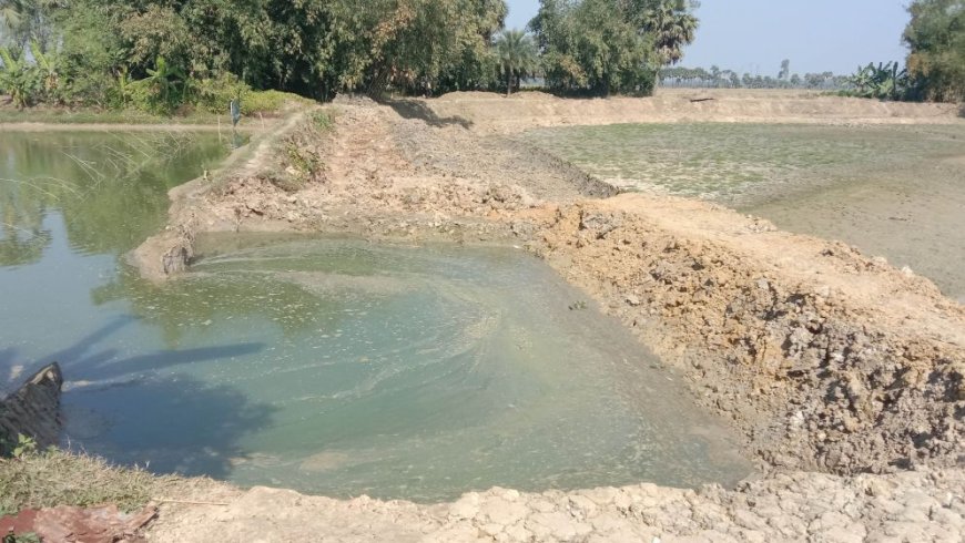 সরকারি জমি ও পুকুর দখলে নেওয়ার অভিযোগ কালাইয়ে