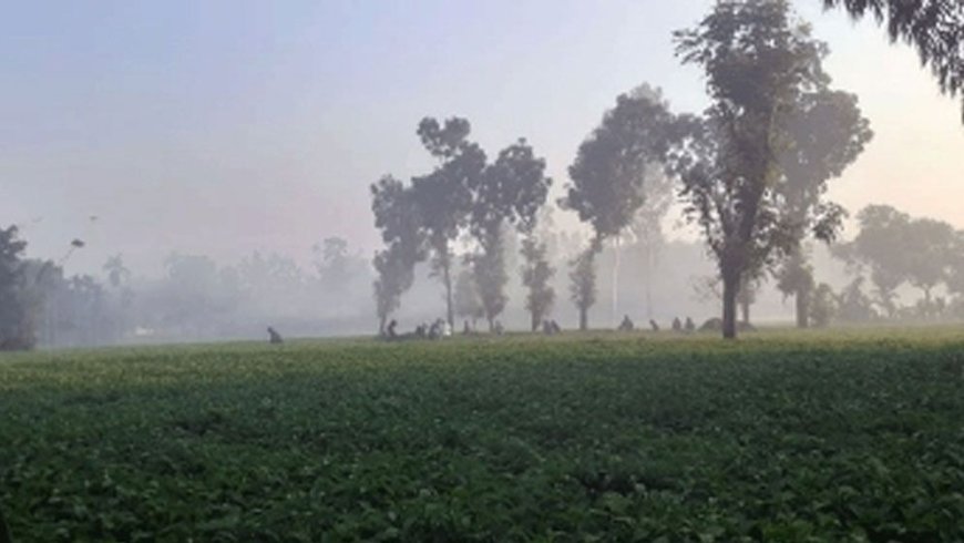 দিনে তাপমাত্রা বাড়লেও, রাতে তীব্র শীত