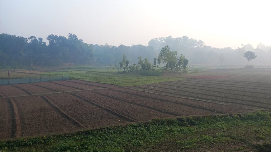 পঞ্চগড়ে তাপমাত্রা কমেছে, বাড়ছে শীতের তীব্রতা