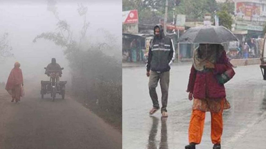 "৩ বিভাগে বৃষ্টির সম্ভাবনা, আগামী মাসে শৈত্যপ্রবাহের আভাস